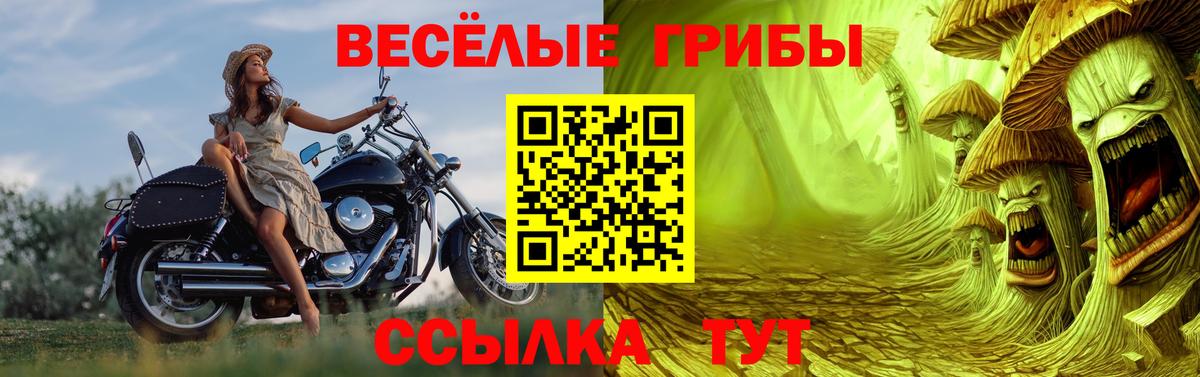 Псилоцибиновые грибы мицелий Калач-на-Дону