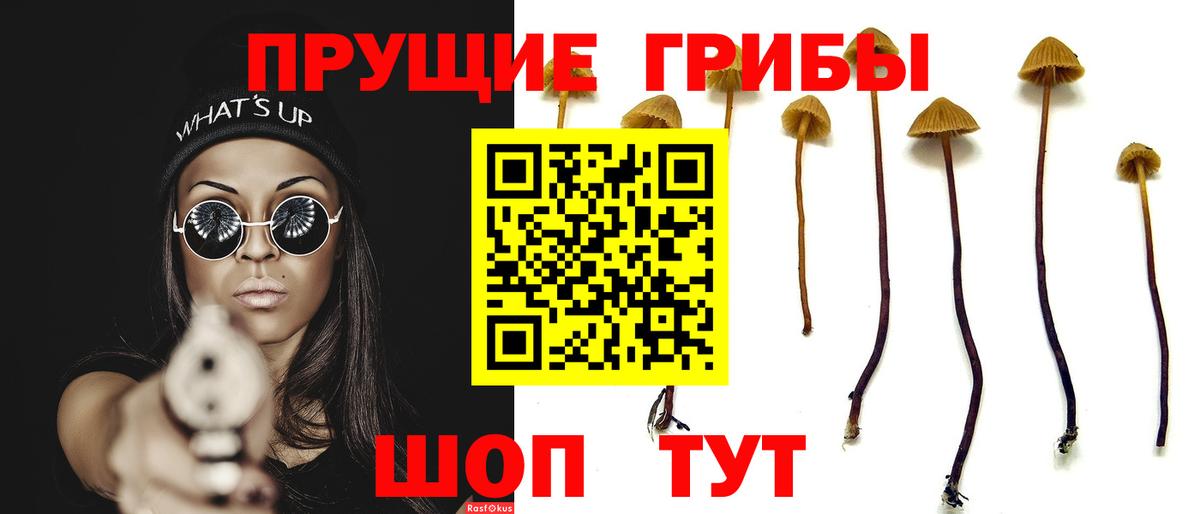 Галлюциногенные грибы Psilocybine cubensis  Вход с VPN  Псилоцибиновые грибы Magic Shrooms  Калач-на-Дону 